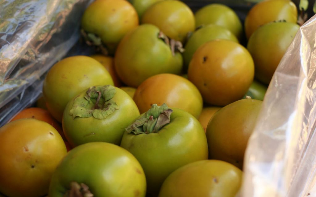 A closeup, natural light photo of persimmon fruits in a box, lined with a clear polythene box liner. Fruits are in varying stages of ripeness, with some orange and some green.