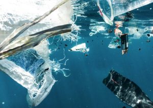 Underwater photograph, near surface. Plastic pollution floating in the ocean, with fish swimming among it