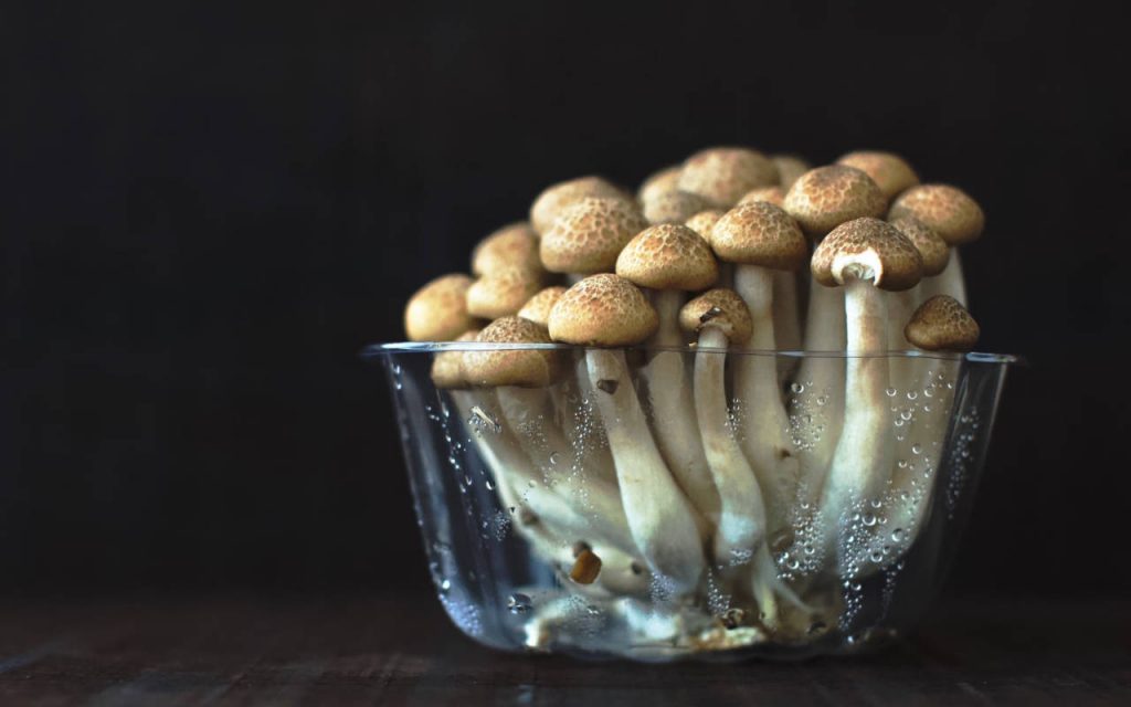 A side-on photo of mushrooms in polythene packaging. The background is wooden, out of focus. The microperforated film used to cover them has been removed.