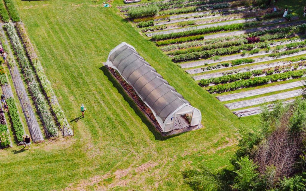 A drone shot of a polythene polytunnel on farmland. A person can be seen walking over the grass near the polytunnel, and there are crops growing in rows adjacent. On the other side, more crops are growing in rows going the opposite way, and someone in a dress with long black hair can be seen tending to them. The grass is sunlit and patchy in places, where it has been walked over so much – but the picture is lush and green overall.